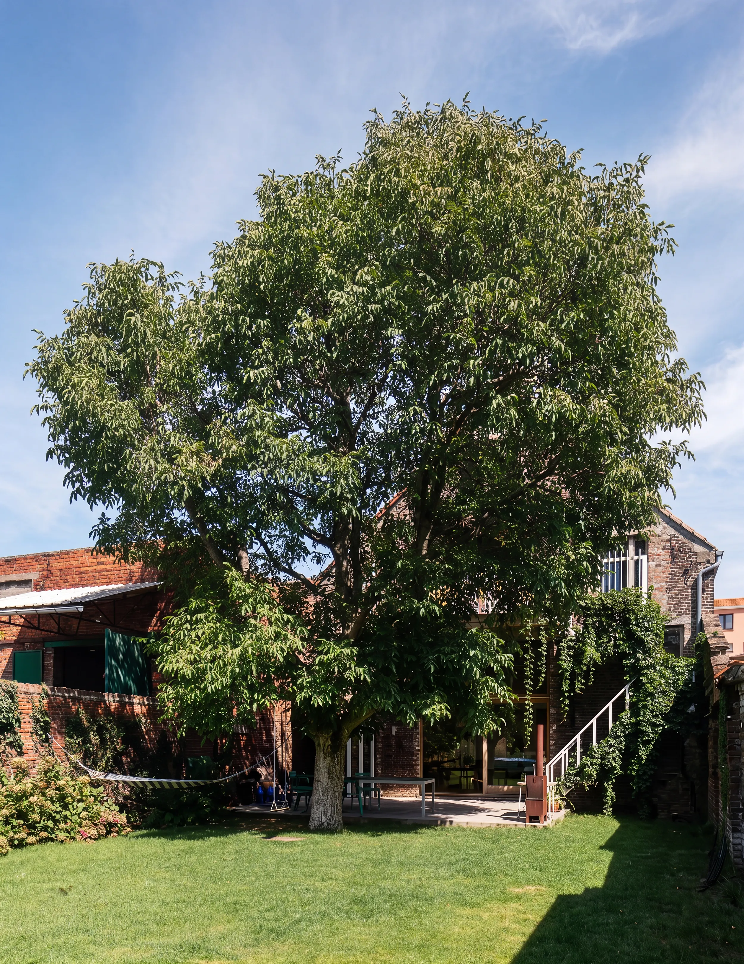 Groene stadstuin